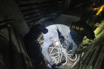 Elephant death investigation report disputed