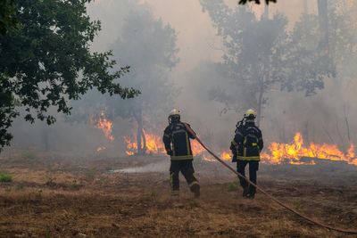 Wildfire leads to evacuations in some suburbs of the French city of Bordeaux
