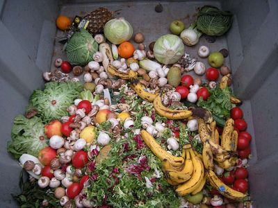 New Zealand is throwing away 1.22 million tonnes of food a year, and the first national tally shows farms and homes are the biggest leaks