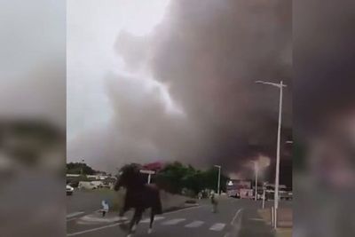 Horses run from thick black smoke as wildfires rage in France