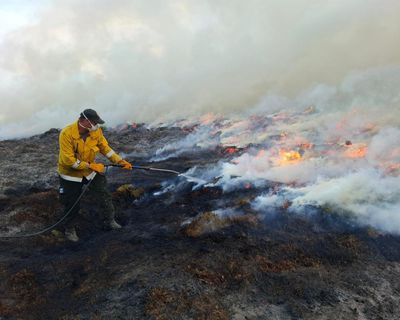 Evacuated villagers in Cairngorms allowed home after wildfire threat lifts