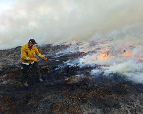 Entire Cairngorms village evacuated as raging wildfire nears