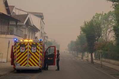 Do not cancel holidays, urges French minister as wildfires ravage Europe
