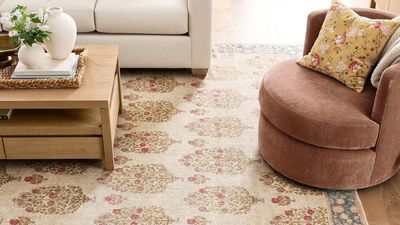 12 Pottery Barn Rugs We Predict Will Be Timeless Investments — Both in Terms of Style and Durability