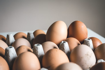 Nearly 19 Million Eggs Recalled Over Salmonella as Trump's Withdrawal on Poultry Safety Draws Scrutiny