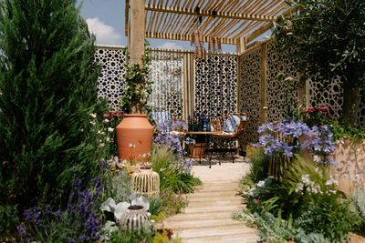 Are We Planting for the Wrong Climate? How UK Designers Are Reimagining Traditional British Gardens for 30°C Summers