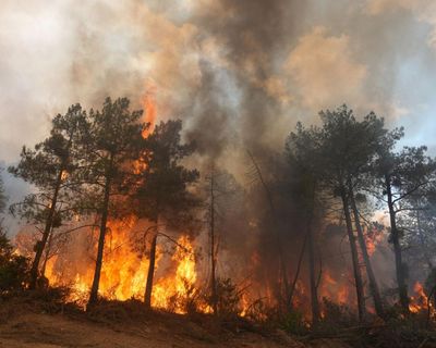 More than 250,000 people flee wildfires in France and Spain