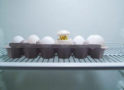 How Long Eggs Stay Fresh in the Refrigerator, According to USDA