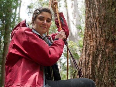 In 2011, an Australian woman climbed 60 meters into a forest tree and refused to touch the ground for 449 days; 170,000 hectares were later protected