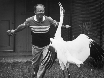 In 1976, a scientist began dancing like a crane every day; the chick it helped produce became an ancestor to 178 endangered birds