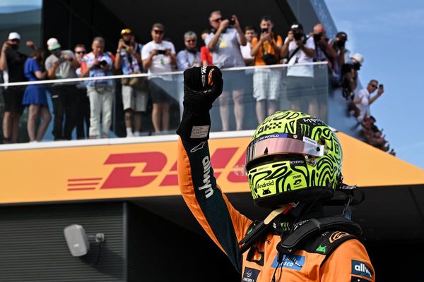 Hungarian Grand Prix: Lando Norris pips Lewis Hamilton to surprise pole in Budapest