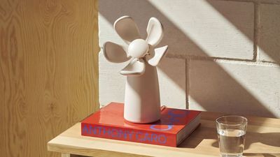 This Little Flower Tells You When It's Time to Open Up Your Windows and Refresh Indoor Air By Drooping Its Petals — And It Comes in 5 Stylish Colors