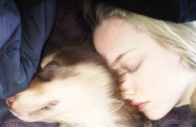 Amanda Seyfried's beloved dog dies
