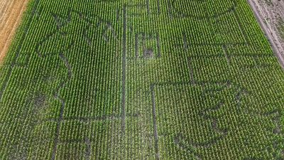 Hungary opens fairy tale themed 4.5-hectare corn maze for visitors to explore