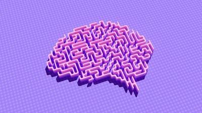 How Retirement Puts Your Cognitive Portfolio at Risk (and the Answer Isn't Doing More Crosswords)
