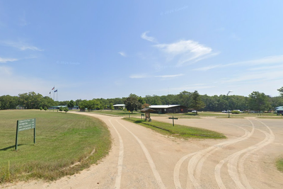 Boy, 11, killed by falling tree at Scout camp in Michigan