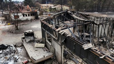 🔴 Wildfires have scorched 115,000 hectares across France this year, interior minister says