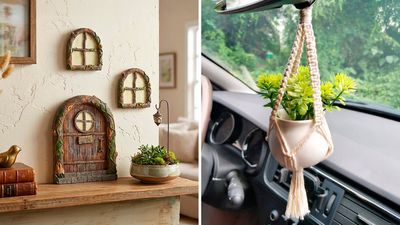 60 kooky, cheap things that make you & your home much more interesting