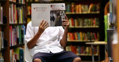 'Not just about books': the surprising services offered by local libraries