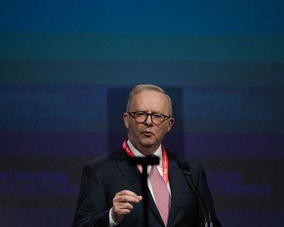Albanese at odds with Labor policy which now says telehealth should be allowed for euthanasia consultations