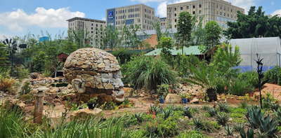 Lessons from South Africa on how parks and community gardens can help cities adapt to climate change