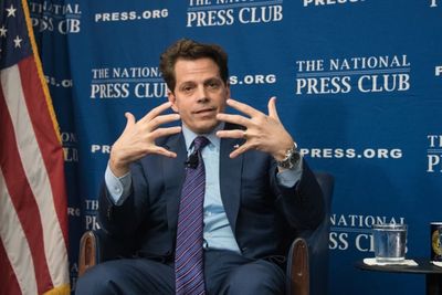 Anthony Scaramucci Says 'There Are Really Two Americas Right Now' as He Warns of Deep Political Divide