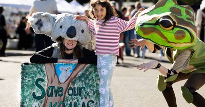 'Can't be all doom and gloom': Curious attempt to push national park plan