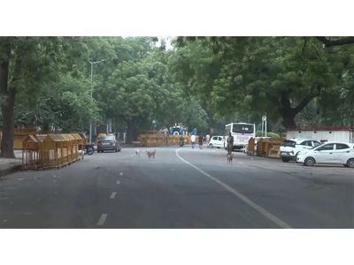 NDMC carried out cleanliness drive after CJP calls off Jantar Mantar protest