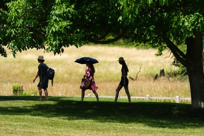 Another heatwave to hit within days after weekend of cooler temperatures