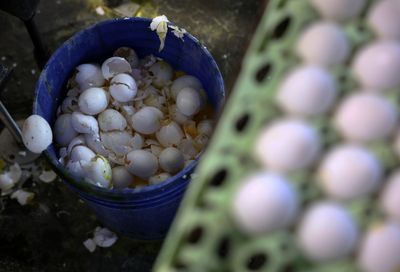 FDA Links 98 Salmonella Illnesses in 17 States to Recalled Texas Eggs Sold Under Five Brand Names