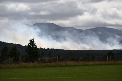 Scottish Government ‘not expecting military support’ to help combat wildfire