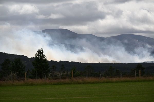 Scottish Government ‘not expecting military support’ to help combat wildfire
