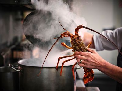 How Māori food tells New Zealand’s story