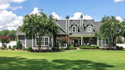 Your Lawn Isn’t Dead, It’s Dormant – Experts Reveal How to Tell if Your Brown Summer Grass Will Recover
