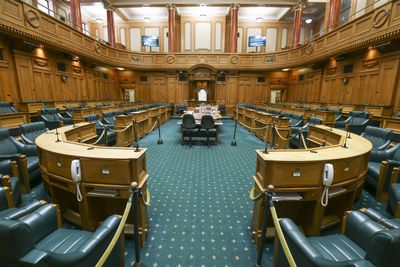 Gareth Morgan: The real Opportunity is on Parliament’s cross benches