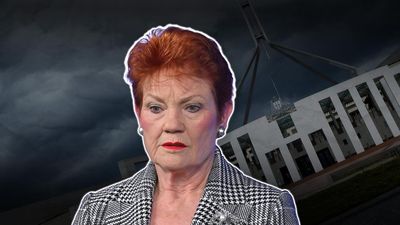 'Win for all' as Hanson loses appeal over racist tweet