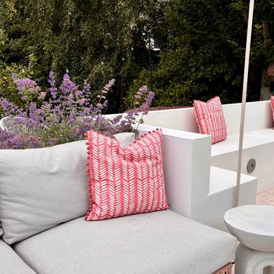 I hate mosquitoes, but this low-maintenance flowering plant is my secret weapon to keep them at bay on my patio this summer