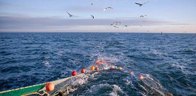 With contentious fisheries reforms on hold, should NZ rethink bottom trawling?