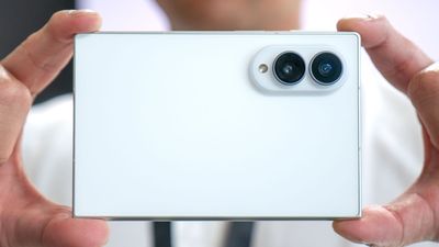 I tried using the Galaxy Z Fold 8’s MyFanCam on my dogs, but I hit a major wall