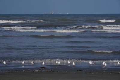 Ukraine war briefing: Iran accuses Kyiv of deadly attack on Iranian vessel in Caspian Sea