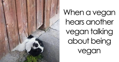 47 Hilarious Memes That Prove That Vegans Do Have A Sense Of Humor