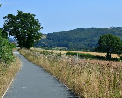 Country diary: I always dreamed of a safe, scenic footpath. Finally, my wish has been granted
