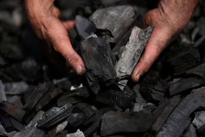 Meet the brothers in Germany keeping the ancient tradition of charcoal burning alive
