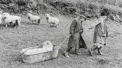 James Ravilious and Chris Chapman spent 50 years photographing farms, weddings and village halls in the same corner of rural England – yet neither ever saw the other as competition