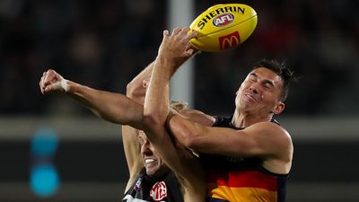 Crows play down 'soft' criticism after loss