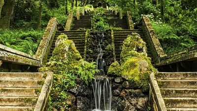 There are only four certified 'therapeutic forests' in the world: One is now in Portugal