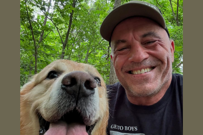 Here's Why Joe Rogan Fans Question Trump Family Gains From Military Drone Deals in Iran War