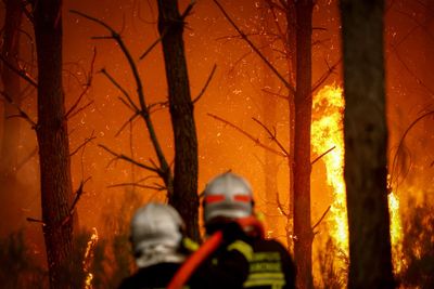 UK preparing for wildfires similar to those that have torn through France and Spain, minister confirms