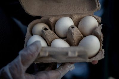 Nearly 100 sick in salmonella outbreak linked to recalled eggs