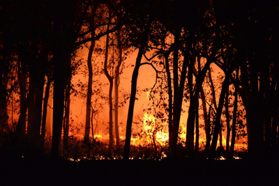 Bordeaux Wildfire Forces Evacuations as Europe's Heatwave Crisis Sparks New Blazes
